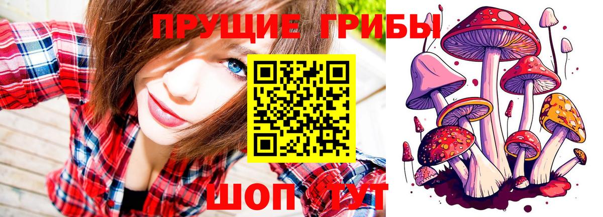 где можно купить   Вход с VPN  Альметьевск  Псилоцибиновые грибы GOLDEN TEACHER 